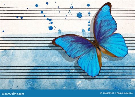 Morpho Blue Butterfly And Notes Butterfly Melody Photo Of Old Music