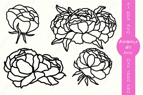 Floral Border Svg With Peonies Flowers Svg Flower Border Peony And Daisy Eps Vector And Png Cut