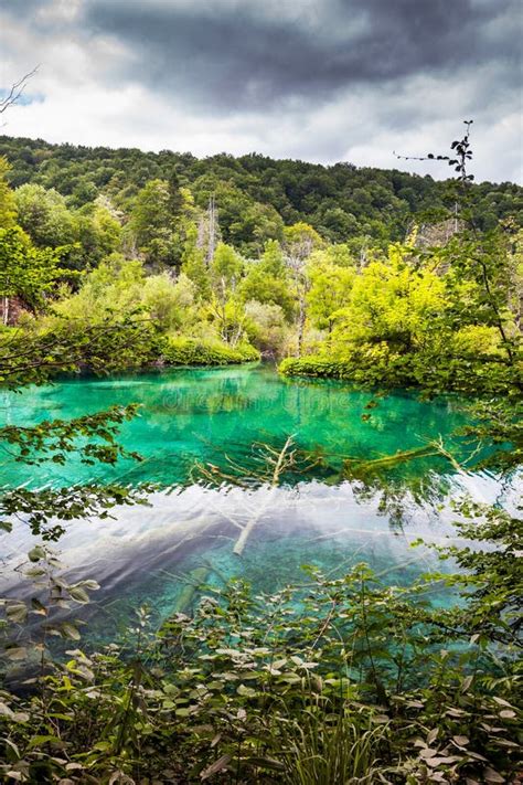 Turquoise Lake In The Woods Plitvice National Park Croatia Stock