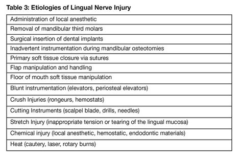 Lingual Nerve Injury Surgical Anatomy And Management