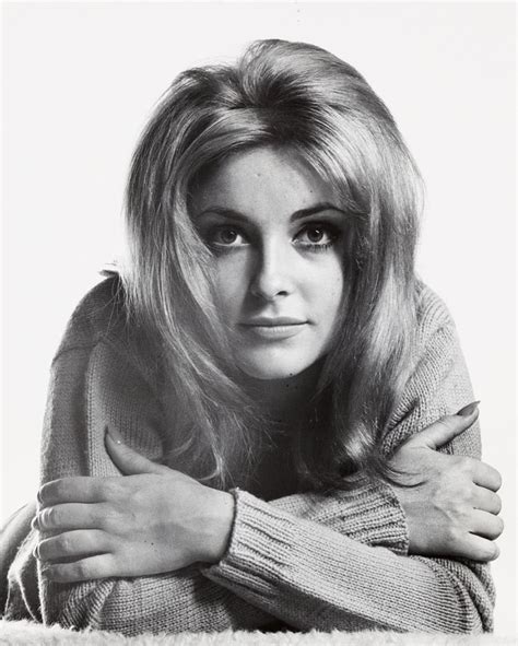 picture of sharon tate