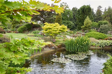 Royal Botanic Garden Edinburgh Highlanderimages Photography