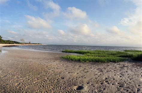 Learn more about islands in this article. Hilton Head Island | Mitchelville Beach