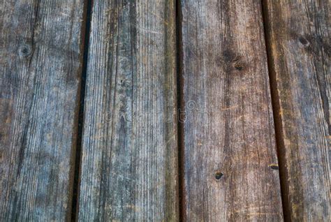 Trendy Close Up Wood Plants Texture Background Stock Afbeelding Image