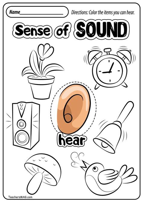 Five Senses Worksheet For Kids Printable