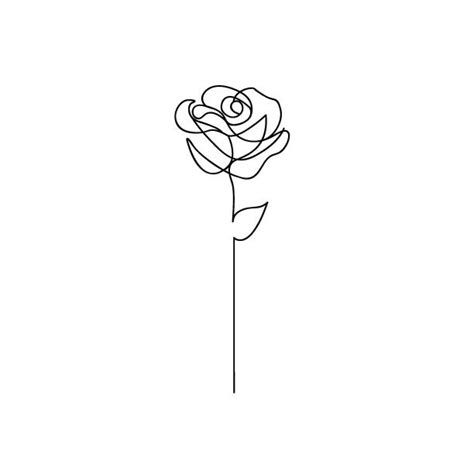 20 high resolution jpeg files, one. Rose Line Art Illustrations, Royalty-Free Vector Graphics ...