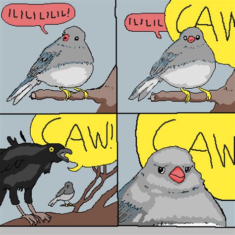 Pixilart Annoyed Bird Meme By Just A Cap