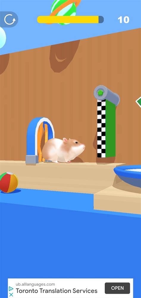 Hamster Maze Race Game Archigrag
