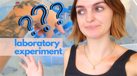 A Day In The Life Of A Scientist Marine Biology Experiments Youtube