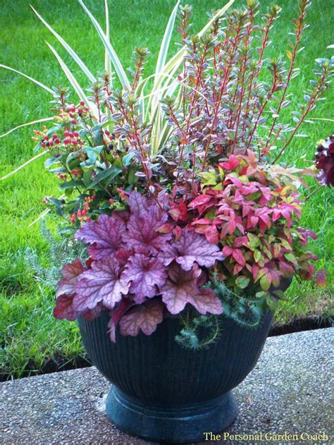 22 Best Perennial Container Garden Ideas Images On