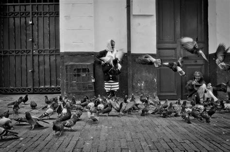 Old Woman Feeding Birds By Erikabarker On Deviantart