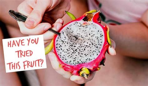 what does dragon fruit taste like healthy juice recipes delicious