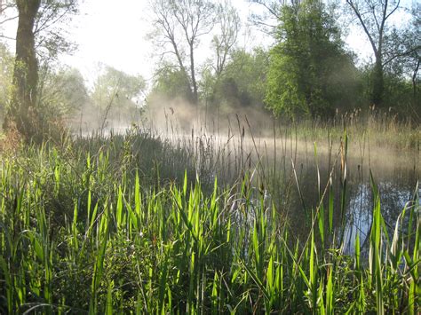 The Wildlife Of Radley Lakes One Planet Abingdon