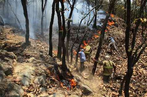 Posted on 25 septiembre, 2020 by enrique. La Jornada: Arrasan incendios más de 2 mil hectáreas en ...