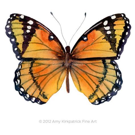 Spotted Orange Butterfly Print Choose 1 Of 7 Watercolors