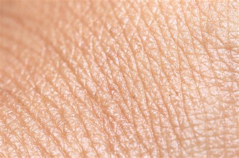 What Is Crepey Skin And How Can It Be Reversed • Illuminate Skin Clinics