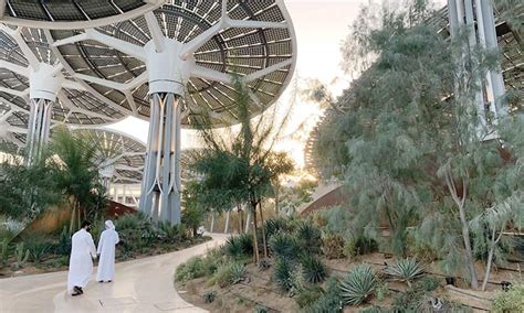 Uae Leads In Sustainable Solutions Gulftoday