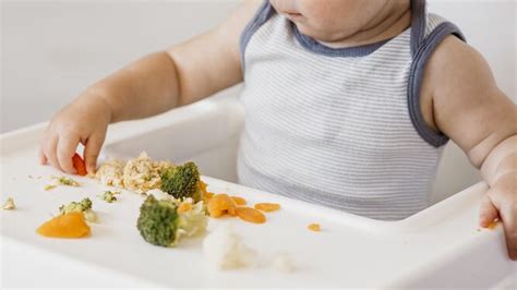 Alimentos Fundamentales Para Iniciar A Tu Beb En El Baby Led Weaning