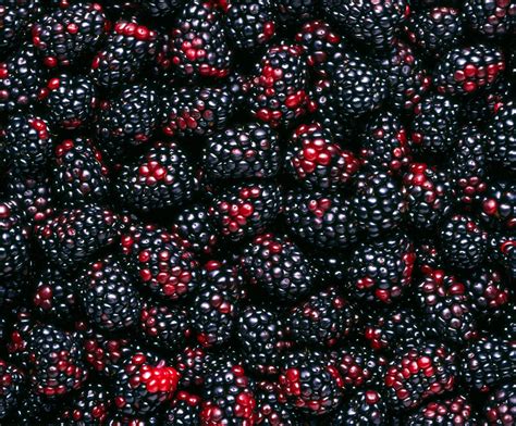 11 Types Of Berries—and What To Do With Them Myrecipes