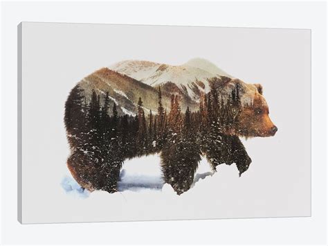 Arctic Grizzly Bear Art Print By Andreas Lie Icanvas Bear Paintings