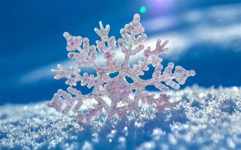Winter Macro Photography Wallpapers Wallpaper Cave