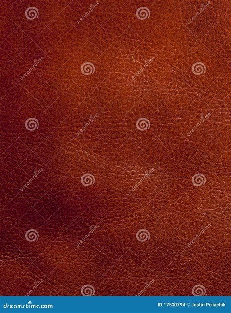 Brown Leather Texture Stock Photo Image Of Macro Skin 17530794