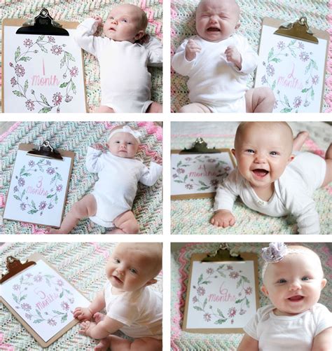 Gifting a child photograph collection can assist guardians with prescribed for kids from nine months to three years old, and accompanies every one of the fancy odds and ends to keep him involved for a considerable. Craftivity Designs: DIY Monthly Baby Photos // Baby Shower Gift