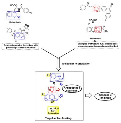 Examples Of Reported Quinoline And Triazole Based Antiapoptotic