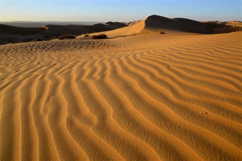 Sand Dunes And Ripple Marks 2 Sharqiya Sands Pictures Oman In