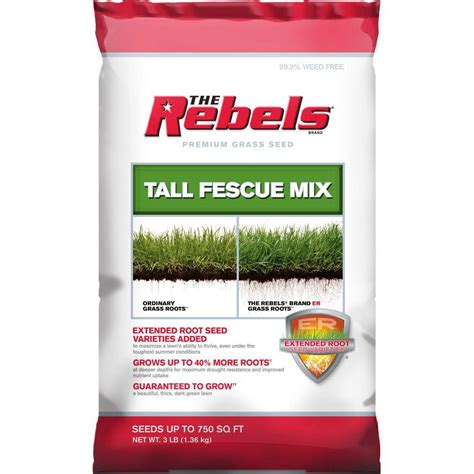 The Rebels 3 Lb Tall Fescue Grass Seed Mix 100519418 The Home Depot