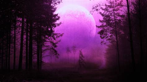 10 best pretty purple desktop wallpaper you can save it free aesthetic arena