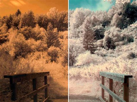 Infrared Photography Tutorial Cameraon
