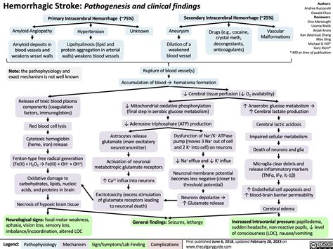 Hemorrhagic Stroke Pathogenesis And Clinical Findings Calgary Guide