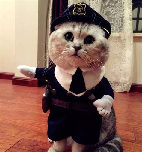 Funny Pet Costume Policeman Police Officer Suit Cat And Dog Costume