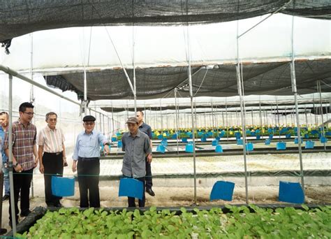 For 8 years, we have been providing locally grown organic produces to kota kinabalu residents. Time to go aquaponic, says Uggah | Borneo Post Online