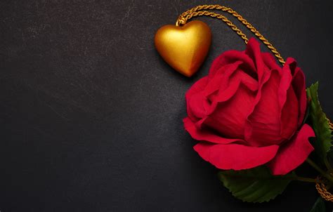 Wallpaper Flowers Heart Rose Pendant Red Love Black Background