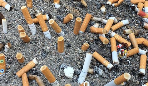 Cigarette Butts Remain The Most Common Type Of Litter In The World