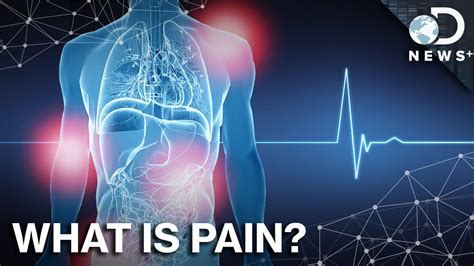 What Are The 3 Types Of Pain Slideshare