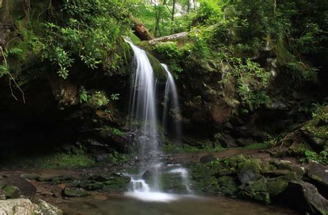 The 5 Best Waterfall Hikes In The Smoky Mountains