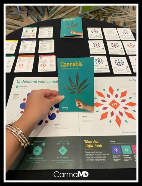How To Use Leaflys New Cannabis Guide Cannamd