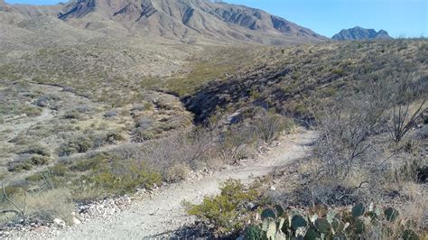 Unspoilt mountain range within el paso city limits, covered with typical chihuahuan desert vegetation; Franklin Mountain State Park photo || SINGLETRACKS.COM