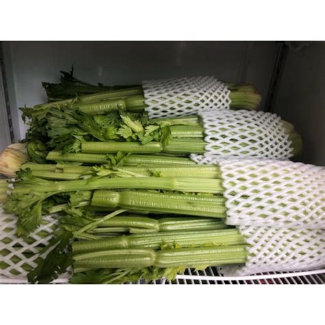Celery สดorganic Shopee Thailand