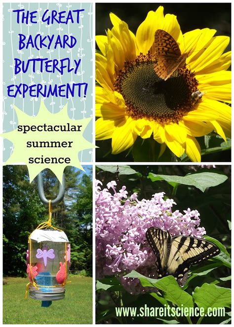 The great backyard place, formerly the pool place, was established in 1953 and is a family owned and operated retailer for luxurious backyard living. Share it! Science : The Great Backyard Butterfly Experiment!