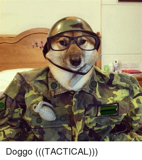 Doggo Tactical Dogs Meme On Meme