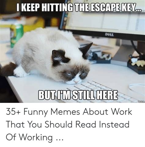 25 Best Memes About Thursday Meme Work Funny Thursday