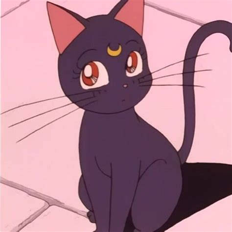 Saschalanier Sailor Moon Cat Aesthetic Anime Kawaii Anime