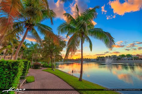 Coconut Tree Along Lake At Palm Beach Gardens Hdr Photography By