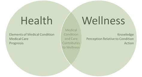 Difference Between Health And Wellness Ccc Blog
