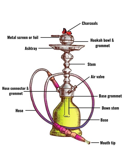 Learn How To Set Up A Hookah At Home Easily Complete Guide