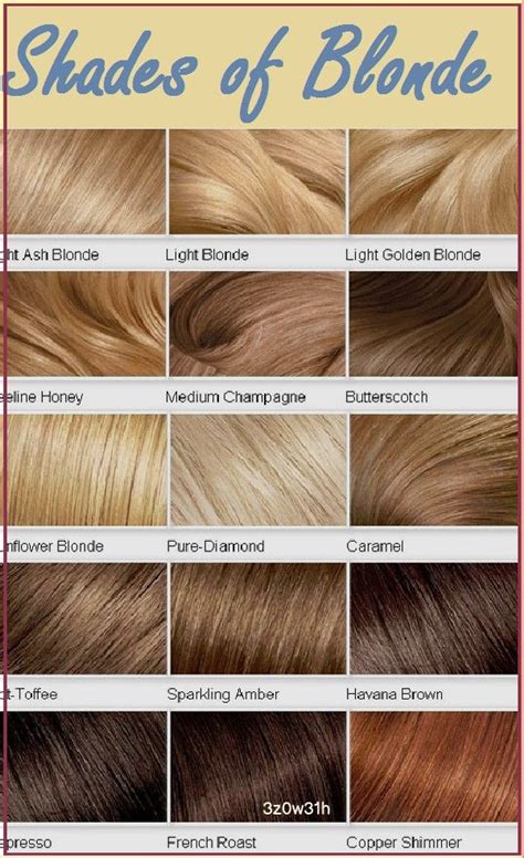 Shades Of Blonde Blonde Hair Color Chart Blonde Hair Shades